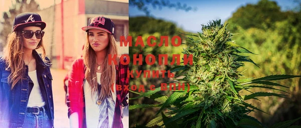 молекула духа Надым