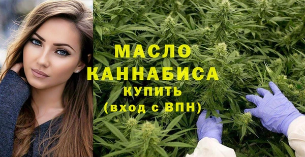 молекула духа Надым