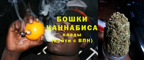 apvp Аркадак