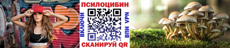 Псилоцибиновые грибы MAGIC MUSHROOMS  Купить  Высоцк 
